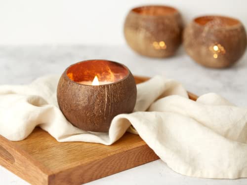 Jungle Culture® Vela de Cera de Soja Orgánica Perfumada a Coco Tostado | Velas Lujosas Crepitantes Ecológicas | Fragancia Relajante Impregnada | Apto para Veganos | 45 Horas de Quemado Cover