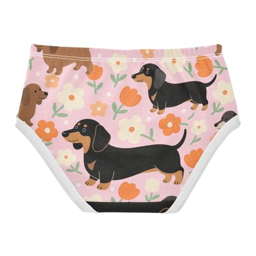 Sport Panties Daily Wear Panties Toddler Cotton Underwear for Girls in Sizes 2T,3T, 4T, 5T, 6Y and 8Y2