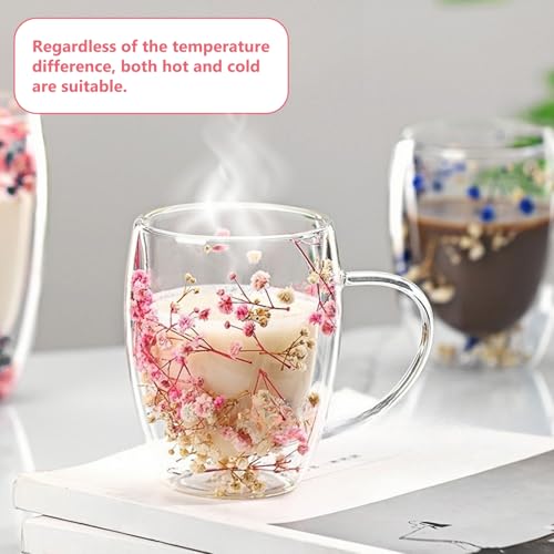 Verres à double paroi de 350 ml haut de gamme ornés de véritables fleurs séchées