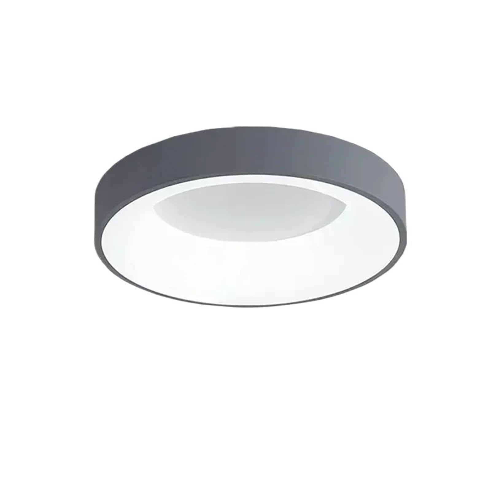 Genérico Plafon LED Techo Regulable,Luz Led Techo Plafón LED de Techo Redondo 30/40cm Con Mando For Salón y Dormitorio Atenuable(Grey,REMOTE CONTROL_30CM-18W)
