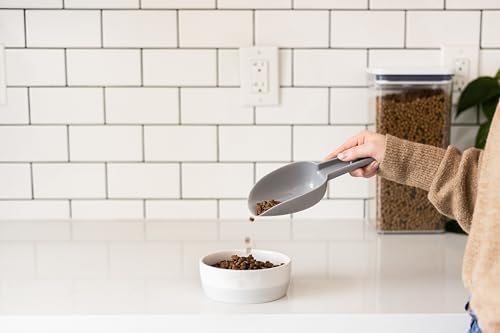 Pearhead Tigela de cerâmica para gatos Paws Off, tigela pequena para comida e água para gatos, prato