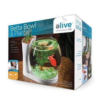 Elive Betta Fish Bowl/Betta Fish Tank with Planter, Small 0.75 Gallon Aquarium, LED Light Timer, White