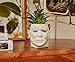Toynk Halloween Michael Myers 3-Inch Ceramic Mini Planter with Artificial Succulent | Small Flower Pot, Faux Indoor Plant