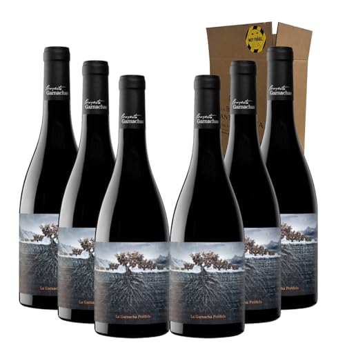 La Garnacha Perdida del Pirineo - Ideal para Maridar con Carne y Comida Mediterránea - Pack 6 Botellas 75cl