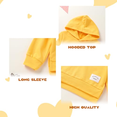 Happy Town Toddler Baby Boy Girl Sweatshirt Hoodie Pullover Fall Outfits Solid Crewneck Long Sleeve Blouse Top Shirt Clothes4