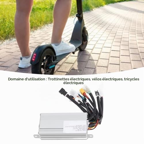Contrôleur de Double Entraînement pour Scooter électrique, Contrôleur de Moteur de Vélo électrique 48V 800W, Module de Commande Principal T4 DB L148