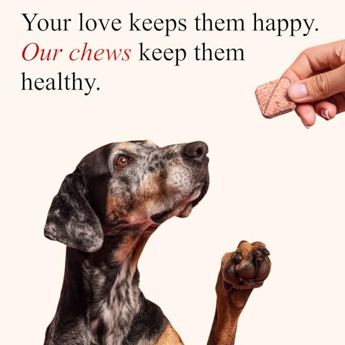 Image of Petroyale Cranberry Chews for Dogs - Dog UTI Health Supplement - Better Urinary Tract & Bladder Function - Antioxidant, Anti-Inflammatory - for Dogs of All Breeds (30 Chews Tabs)