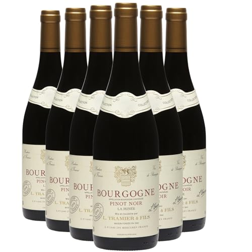 Bourgogne Pinot Noir La Minée 2024 – Maison Tramier | DOP Borgoña Bourgogne Pinot Noir La Minée 2024 – Maison Tramier | DOP Borgoña