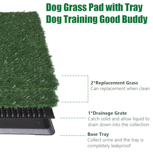 Image of LITA Indoor Dog Litter Box for Pet Training, Potty System (20x25)