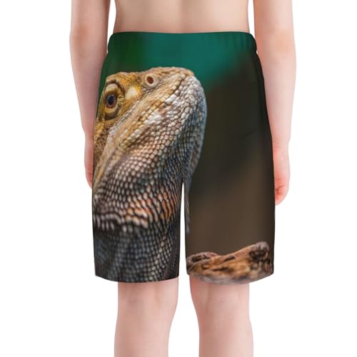 Peynir Bearded Dragon Reptile Teen Boys Beach Shorts Swim Trunks Casual Board Shorts for 7-20 Years2