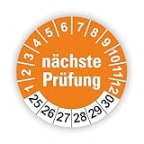Fassbender-Druck PRÜFPLAKETTEN - Hochwertige Prüfetiketten FD-3 NÄCHSTE WARTUNG Ø 30mm - Selbstklebende PVC-Folie - Wartungsetiketten für Prüfung - Prüfplakette für Prüfungsnachweis (250 Stück)