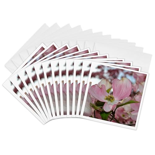 3dRose sN ni~YL    ʐ^ - O[eBOJ[hA6 x 6C`A12Zbg (gc_30900_2)