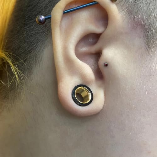 Casvort 4 Pcs 12Mm (1/2'') Hypoallergenic 316 Stainless Steel Round Screw Back Double Color Ear Plugs Tunnels Gauges Stretcher Piercings Body Jewelry thumb #2