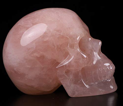 Calavera de Cuarzo Rosa Tallada 2.0" Escultura de Arte miniatura 4