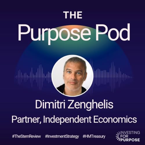Dimitri Zenghelis on optimising investment strategies for the climate change transition