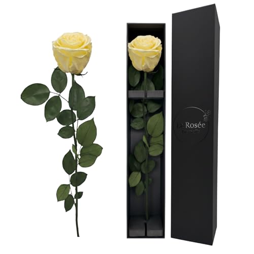 LA ROSEE ETERNELLE Rosa Eterna Profumata 48 cm – Fiore