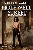 holywell  Holywell Street (The Delamere Files Book 8) (English Edition)