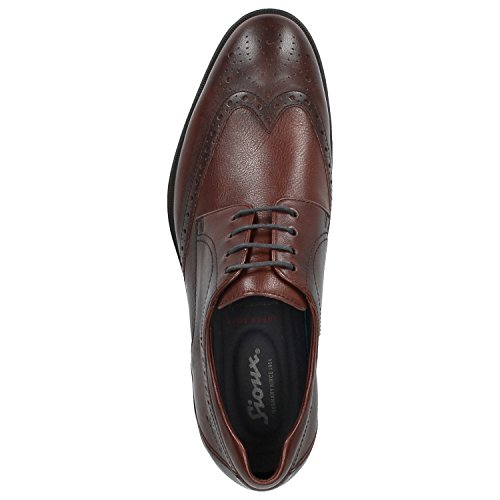 Sioux Homme Forkan plat Oxford noire marron chaussure basse classique