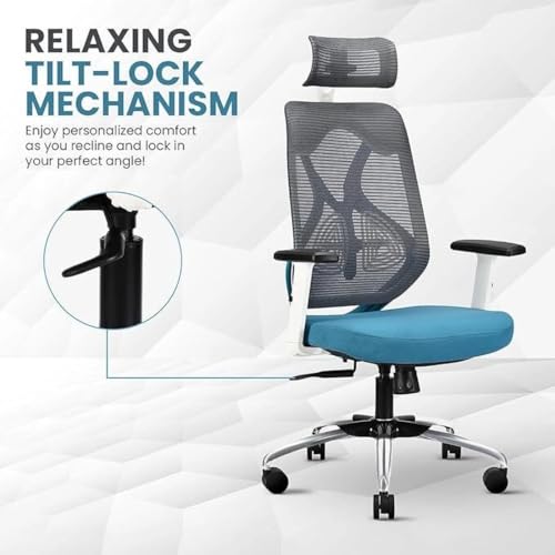 Image of IAFA FURNITURE Ergolux High Back Ergonomic Office & Study Chair | 3 Year Warranty | Adjustable Height, Tilt Lock, 2D Headrest, Adjustable Arms & Lumbar Support | Heavy Duty Metal Base | DIY | (Teal)