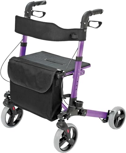 Déambulateur de style européen pour des promenades dynamiques
