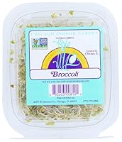 Algopix Similar Product 8 - Chicago Indoor Gardens Broccoli, 2 OZ