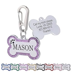 Personalized Stainless Steel Pet ID...