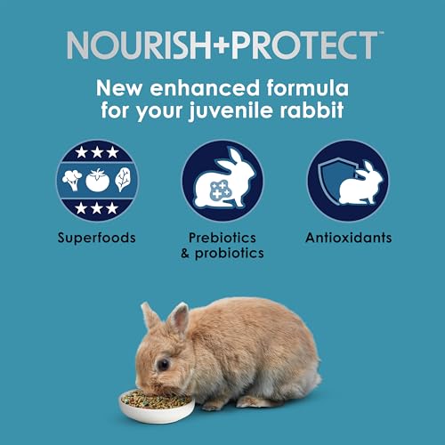 Kaytee Forti-Diet Pro Health Nourish+Protect Juvenile Rabbit Food, Comprehensive Nutrition Backed by Science, Digestive Health, Immune Support, 3 Pounds - Image 3