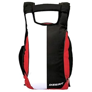 DZert Clasy Laptop Bag College Bag for Boys Girls 21 L Red Black