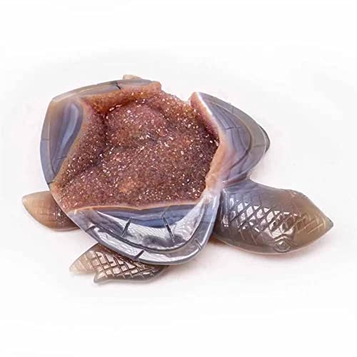 RaeGan 1pc Natural Spiritual Agate Geode Sea Turtle 4.5 Inch Beautiful Crystal