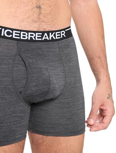 Icebreaker Men's Merino 150 Anatomica Boxers with Fly3