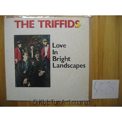 LOVE IN BRIGHT LANDSCAPES LP DUTCH MEGADISC 1985
