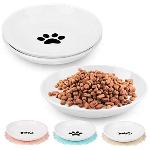 Purrfect Plate Picks The Top 10 Cat Food Dishes You Need to Try