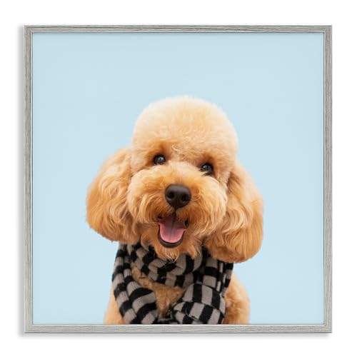 Stupell Industries Pet Personalized Custom Print Square Gray Giclee Framed Wall Art