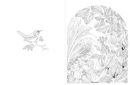 A Walk in the Woods: An Intricate Coloring Book - Image 7