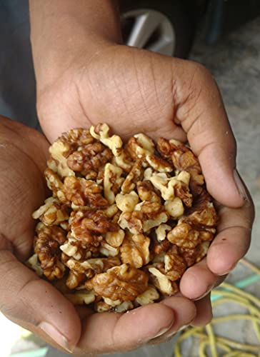 Image of 3p Amson Kashmiri Brown Quarter Walnut Kernels Without Shell, 4 X 250 g