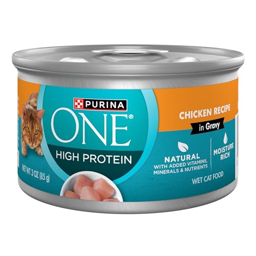Purina ONE Chicken in Gravy
