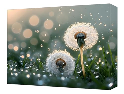 Peinture Numéro Adulte Pissenlit Fleur Acrylique de Haute Qualité