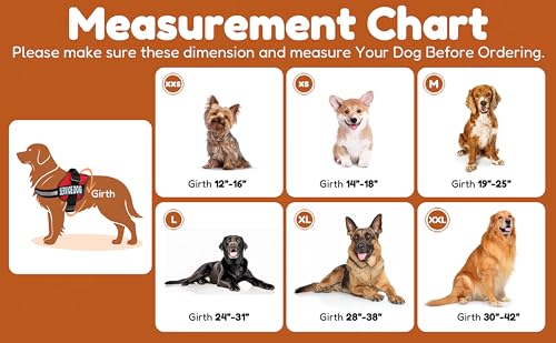 Doggie Stylz Dog Harness with DO NOT PET Patches – No Pull Service Dog Vest and Service Animal Vest for Dogs – Adjustable Gentle Leader for Dogs – Reflective, Heavy-Duty for Training and Walking - Thumbnail 3