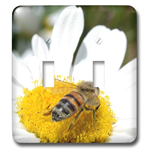 Double interrupteur à bascule 3dRose marguerites et abeilles pour déco murale