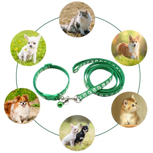 Hundehalsband und Leine, Halsband und Leine für kleine Hunde, Hundehalsbänder, hundehalsband, Bequeme verstellbares Hundehalsband, Hundehalsband und Leine Set, Welpenhalsband,Grün