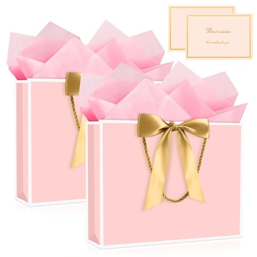 Image of JMANNI Gift Bags with Handles, 11 inch Small Gift Bag for Presents, 2 Pcs Bags with 4 Tissue Paper and 2 Cards for Baby Shower Wedding Bridal Shower Mother's Day Birthday Party (Pink-White)