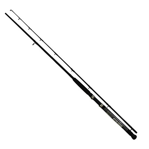 Daiwa ACCUDEPTH TROLLING Rod, Sections= 2, Line Wt.= 10-25,Black