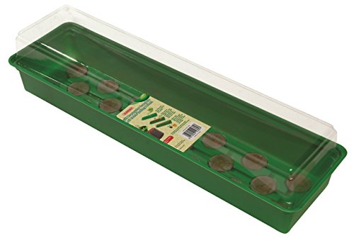 Bosmere N364 Windowsill Propagatore con Coir Seed