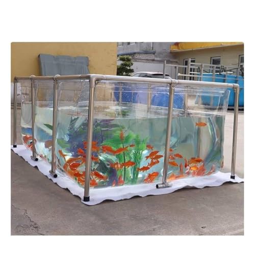 Bassin d'élevage transparent pour koï avec structure acier robuste et vidange rapide