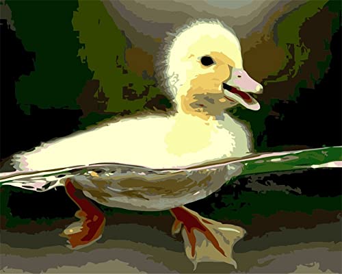 Kit peinture au diamant 5D canard une idée cadeau créative pour adulte