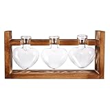 HOODANCOS Juego de 3 Jarrones de Vidrio Forma de Corazón con Soporte de Madera Estilo Retro Contenedores Hidropónicos para Plantas Decoración para Hogar y Oficina