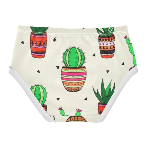 Artistic Toddler Underwear Floral 2t Cotton Panties for Girl Potted Cactus Succulent Plants Kids Undies Briefs2