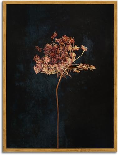 KBKBART Framed Vintage Wall Art Prints, Retro Moody Floral Botanical