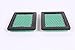 Honda 17211-ZS9-A02 Pack of 2 Air Filter Elements