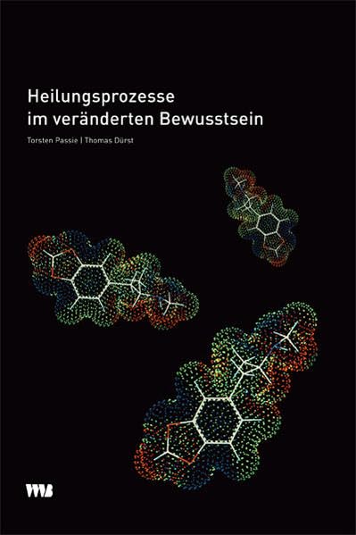 Heilungsprozesse im veränderten Bewusstsein: Elemente psycholytischer Therapieerfahrung aus der Sicht von Patienten